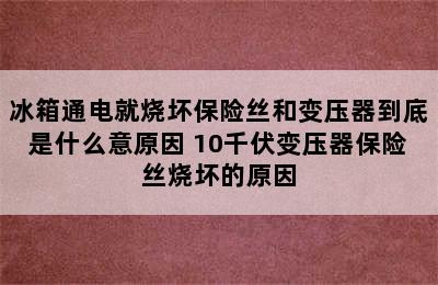 冰箱通电就烧坏保险丝和变压器到底是什么意原因 10千伏变压器保险丝烧坏的原因